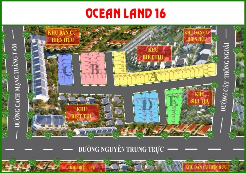 Ocean Land 16 mt CÂY thông ngoài